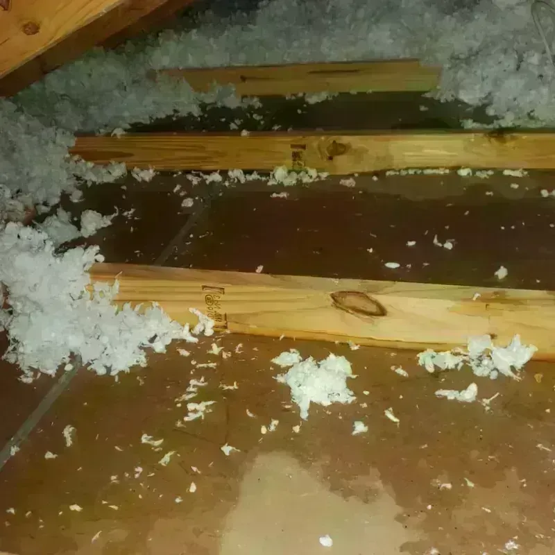 Attic Water Damage in South Hadley, MA